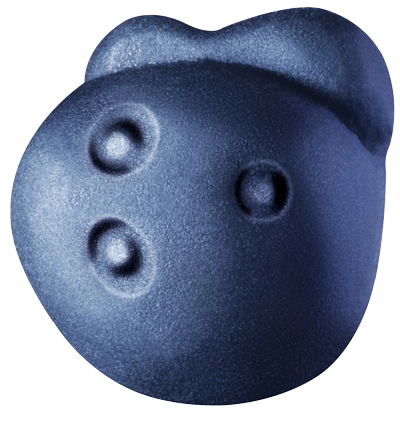 BLUEBERRY.png