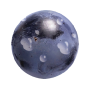 Grape_2019.png