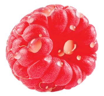 Raspberry_2019.png